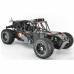 FS remote control model4320 Scale Gasoline RC Car High Speed Remote Control Racing Vehicle for Adults Outdoor Off Road